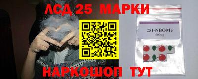 прущие грибы Новодвинск