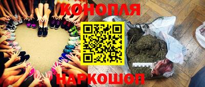 прущие грибы Новодвинск
