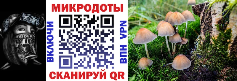 Псилоцибиновые грибы мицелий  Тулун 