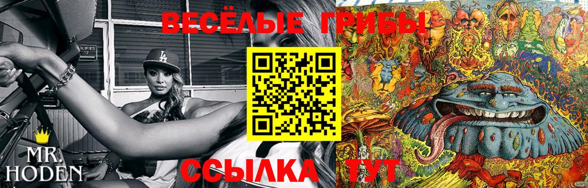 Галлюциногенные грибы Psilocybe Тулун