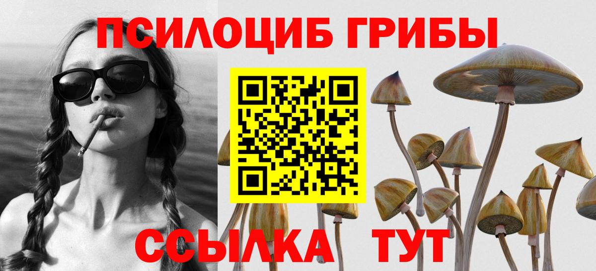 Галлюциногенные грибы ЛСД  Галлюциногенные грибы прущие грибы  Тулун  купить   Вход с VPN 